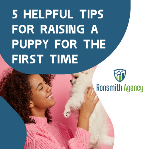 5 Helpful Tips for Raising a Puppy for the First Time